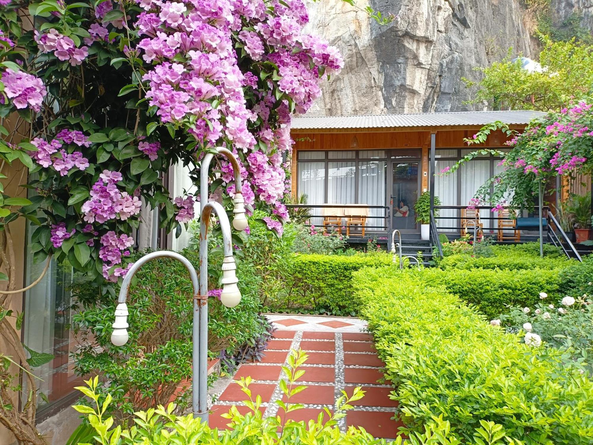 Tam Coc Sunshine Homestay 宁平 外观 照片