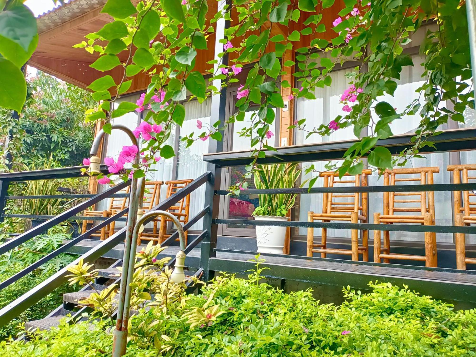 Tam Coc Sunshine Homestay 宁平 外观 照片