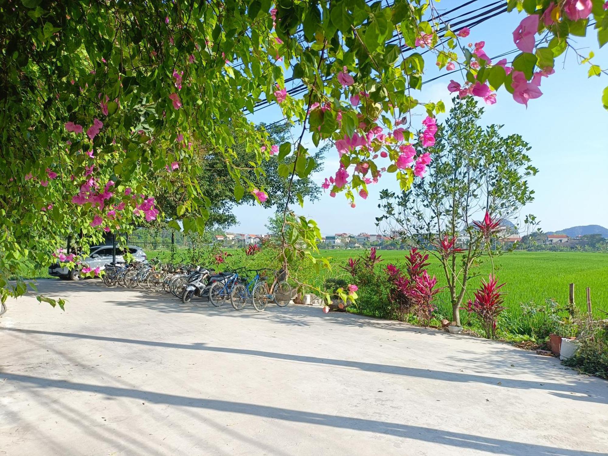 Tam Coc Sunshine Homestay 宁平 外观 照片