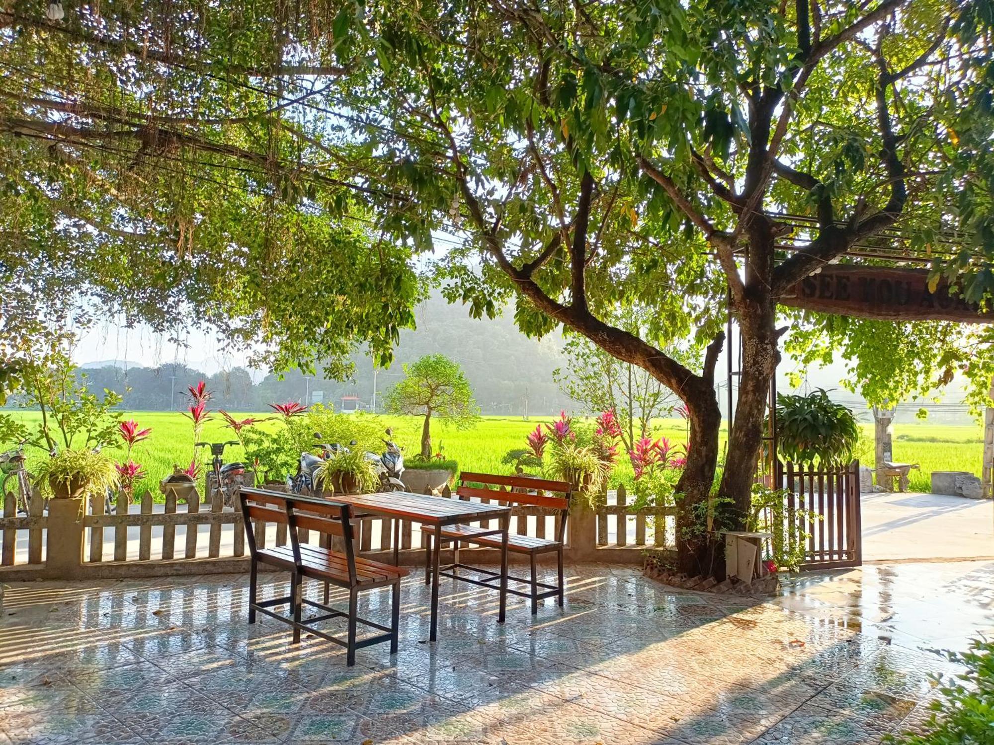 Tam Coc Sunshine Homestay 宁平 外观 照片
