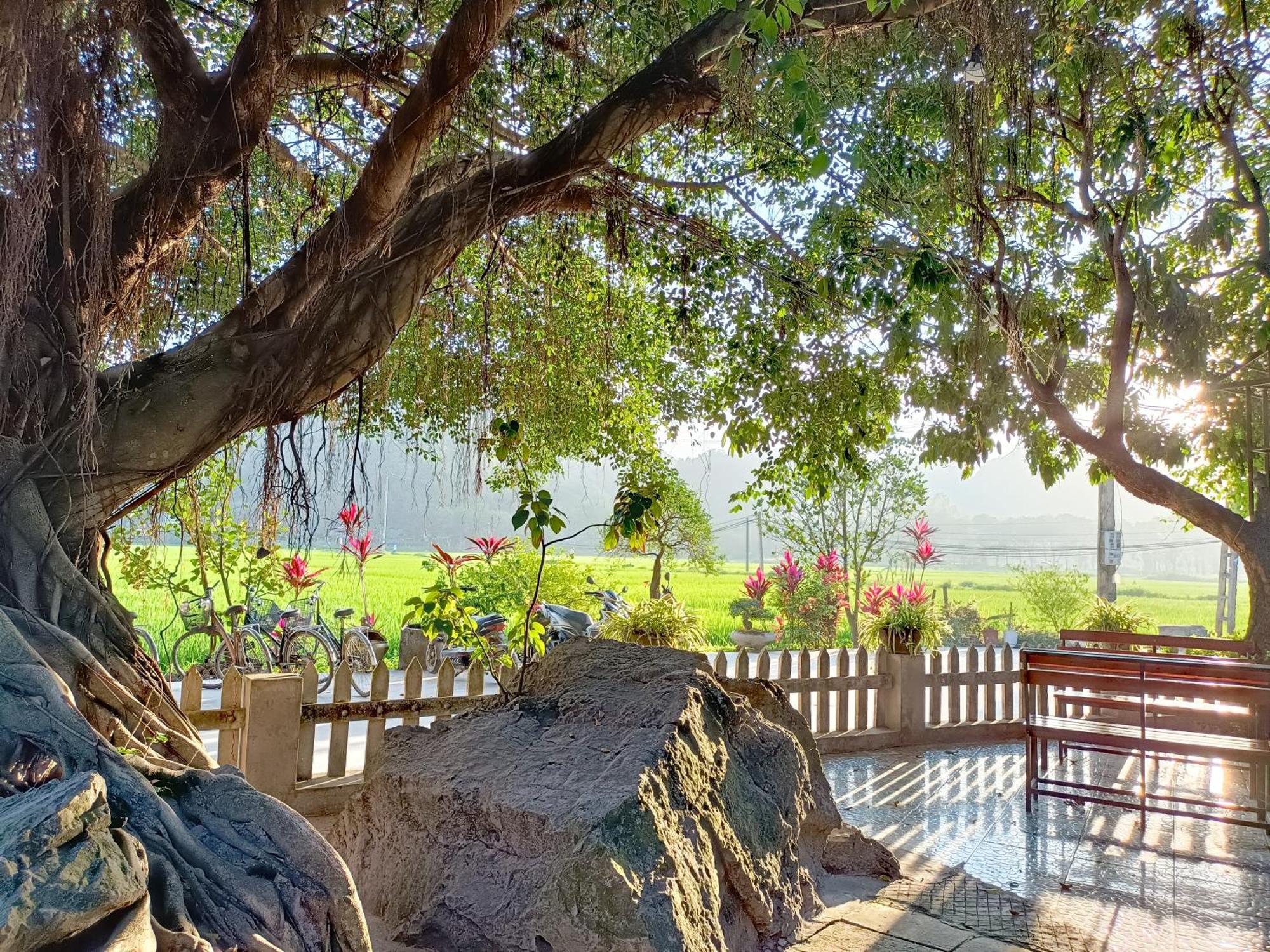 Tam Coc Sunshine Homestay 宁平 外观 照片