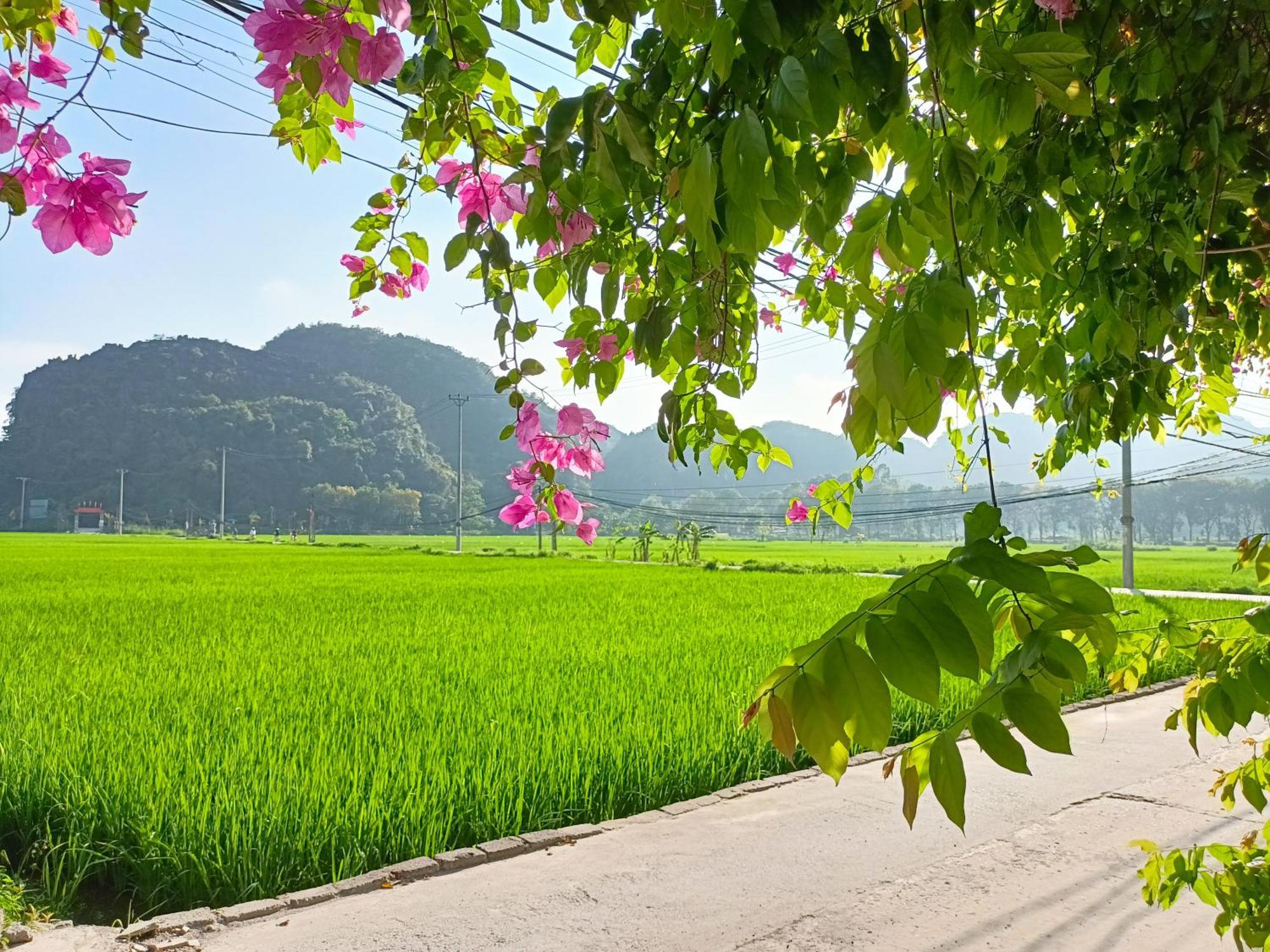 Tam Coc Sunshine Homestay 宁平 外观 照片
