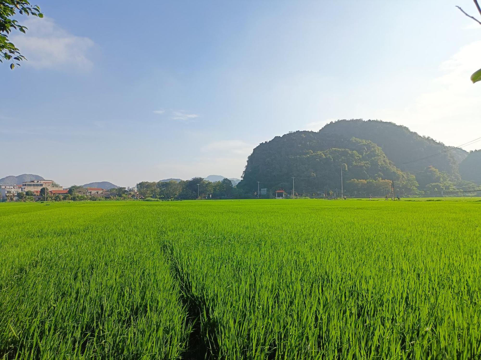 Tam Coc Sunshine Homestay 宁平 外观 照片