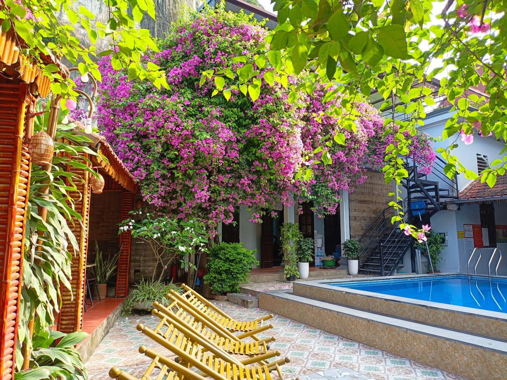 Tam Coc Sunshine Homestay 宁平 外观 照片